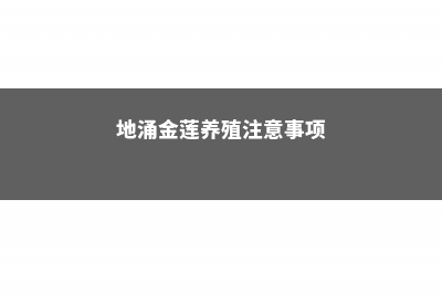 地涌金莲的养殖方法和注意事项 (地涌金莲养殖注意事项)