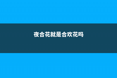 夜合花与百合花的区别 (夜合花就是合欢花吗)