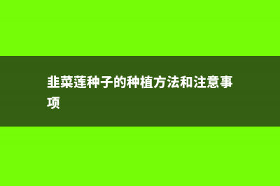 韭菜莲的家庭养殖方法 (韭菜莲种子的种植方法和注意事项)