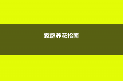 家庭养花”六戒“ – (家庭养花指南)