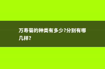 万寿菊的常见品种 (万寿菊的种类有多少?分别有哪几样?)