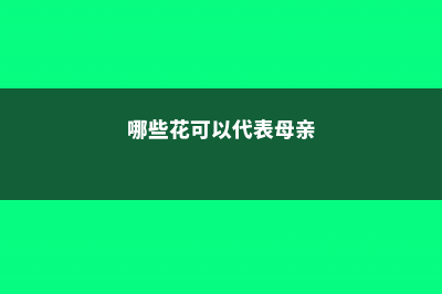 哪些花可以代表福禄寿喜 (哪些花可以代表母亲)