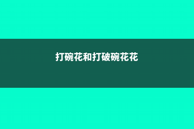 打碗花、打破碗花、打破碗碗花都是些什么植物 – (打碗花和打破碗花花)