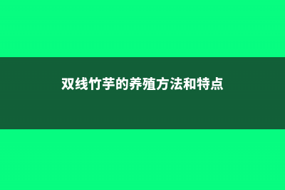 双线竹芋的养殖方法和注意事项 (双线竹芋的养殖方法和特点)