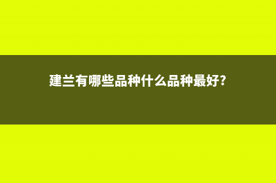 建兰有哪些品种 (建兰有哪些品种什么品种最好?)