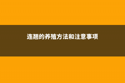 连翘的养殖方法和注意事项 (连翘的养殖方法和注意事项)