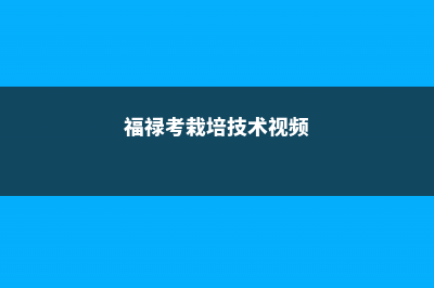 福禄考的养殖方法和注意事项 (福禄考栽培技术视频)