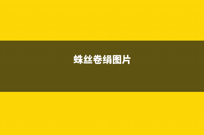 蛛丝卷绢和毛卷娟、红卷娟的区别 (蛛丝卷绢图片)