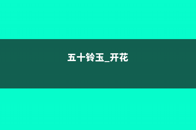 五十铃玉开花会死吗 (五十铃玉 开花)