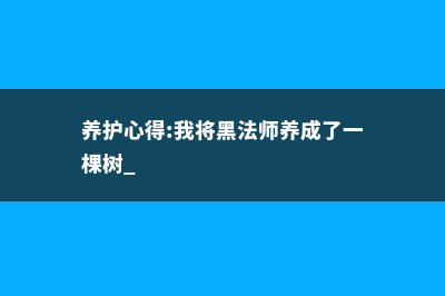 养护心得:我将黑法师养成了一棵树 