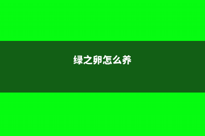 绿之铃家庭养殖方法和注意事项 (绿之卵怎么养)