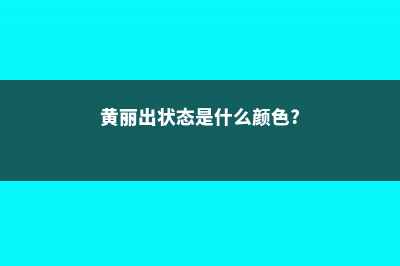 怎么区别黄丽和铭月 (黄丽出状态是什么颜色?)