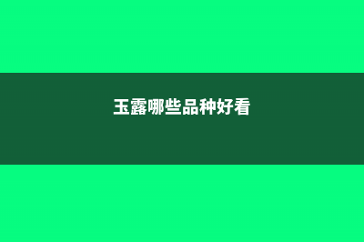 玉露品种大全 (玉露哪些品种好看)