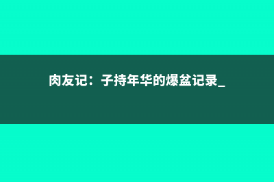 肉友记：子持年华的爆盆记录 