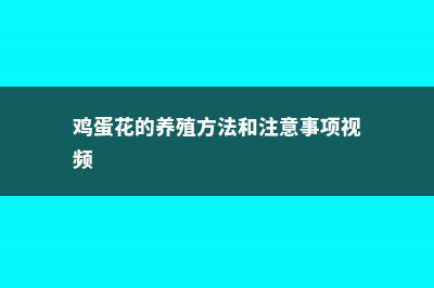 鸡蛋花的养殖方法和注意事项 (鸡蛋花的养殖方法和注意事项视频)