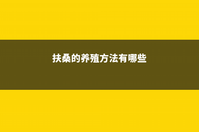 扶桑的养殖方法和注意事项 (扶桑的养殖方法有哪些)