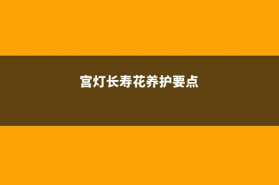 宫灯长寿花的养殖方法和注意事项 (宫灯长寿花养护要点)