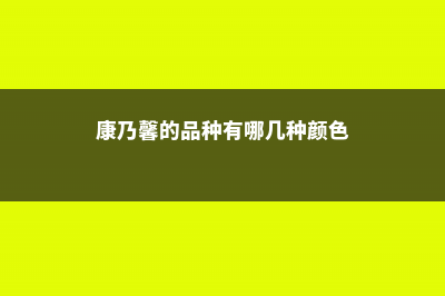 康乃馨品种分类 (康乃馨的品种有哪几种颜色)