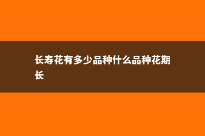 长寿花有多少品种 (长寿花有多少品种什么品种花期长)