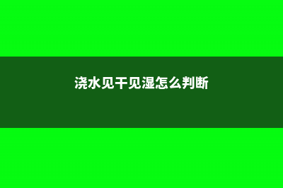 浇水“见干见湿”和“间干间湿”指什么 (浇水见干见湿怎么判断)