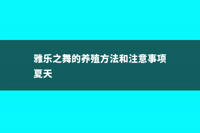 雅乐之舞的养殖方法和注意事项 (雅乐之舞的养殖方法和注意事项夏天)