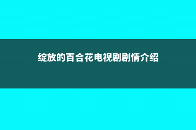 绽放的百合花 (绽放的百合花电视剧剧情介绍)