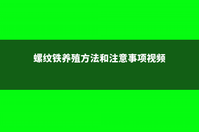 螺纹铁的养殖方法和注意事项 (螺纹铁养殖方法和注意事项视频)