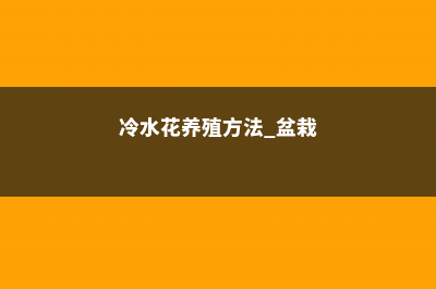 冷水花养殖方法和注意事项 (冷水花养殖方法 盆栽)