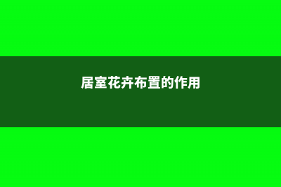 家庭养花之居室养花“三忌” (居室花卉布置的作用)