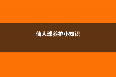 仙人球养殖注意事项 (仙人球养护小知识)