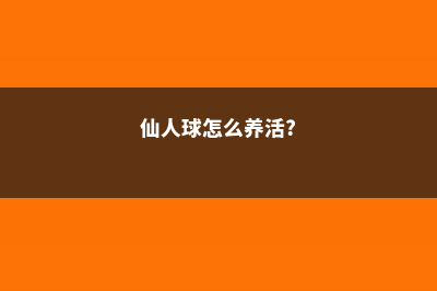 仙人球养殖的几种常见问题 (仙人球怎么养活?)