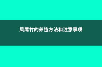 凤尾竹的养殖方法 (凤尾竹的养殖方法和注意事项)