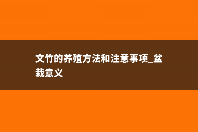 文竹的养殖方法和注意事项 (文竹的养殖方法和注意事项 盆栽意义)