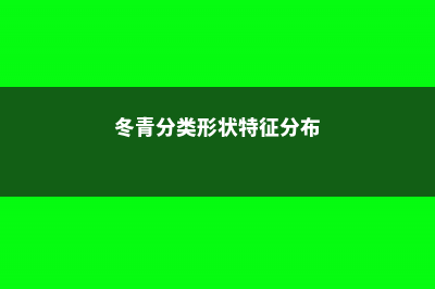 冬青的种类有哪些 (冬青分类形状特征分布)