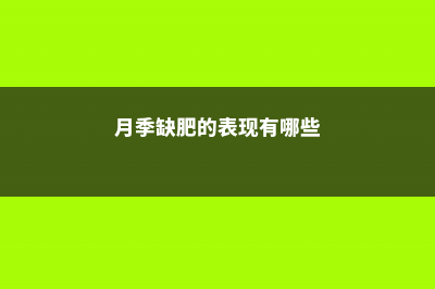 月季缺肥的表现 (月季缺肥的表现有哪些)