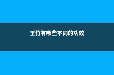 玉竹有哪些不同的品种 (玉竹有哪些不同的功效)