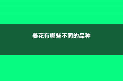 姜花有哪些不同的品种 (姜花有哪些不同的品种)