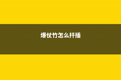 爆仗竹(炮仗竹)的养殖方法和养护要点 (爆仗竹怎么扦插)