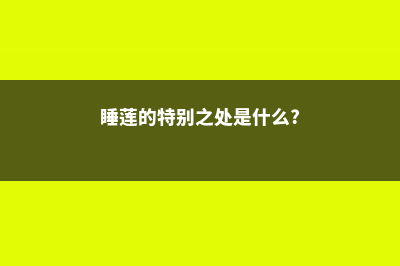 睡莲有哪些不同的品种 (睡莲的特别之处是什么?)