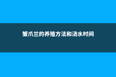 蟹爪兰的养殖方法和注意事项 (蟹爪兰的养殖方法和浇水时间)