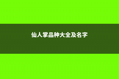 仙人掌的不同品种有哪些 (仙人掌品种大全及名字)