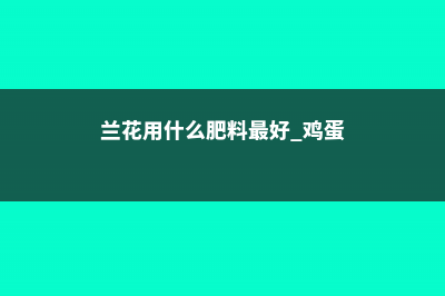 兰花用什么肥料最好 (兰花用什么肥料最好 鸡蛋)