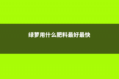 绿萝用什么肥料最好 (绿萝用什么肥料最好最快)