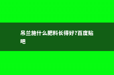 吊兰施什么肥料长得好，吊兰花图片 (吊兰施什么肥料长得好?百度贴吧)