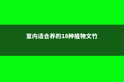 室内适合养的18种植物 (室内适合养的18种植物文竹)