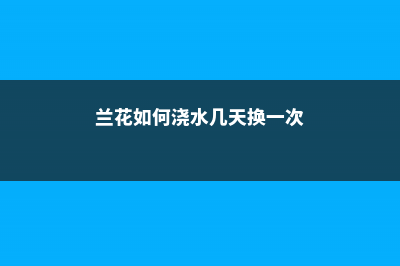 兰花如何浇水几天一次 (兰花如何浇水几天换一次)