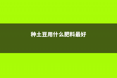 土豆什么时候种最合适 (种土豆用什么肥料最好)