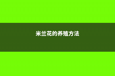 米兰花的养殖方法剪枝 (米兰花的养殖方法)