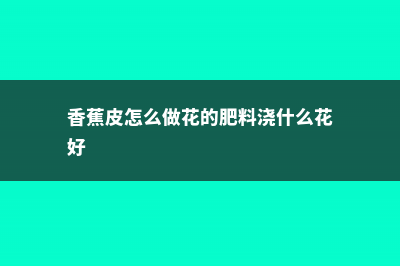 香蕉皮怎么做花的肥料 (香蕉皮怎么做花的肥料浇什么花好)