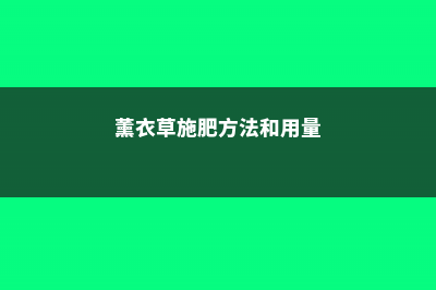 薰衣草施肥方法，用什么肥好 (薰衣草施肥方法和用量)